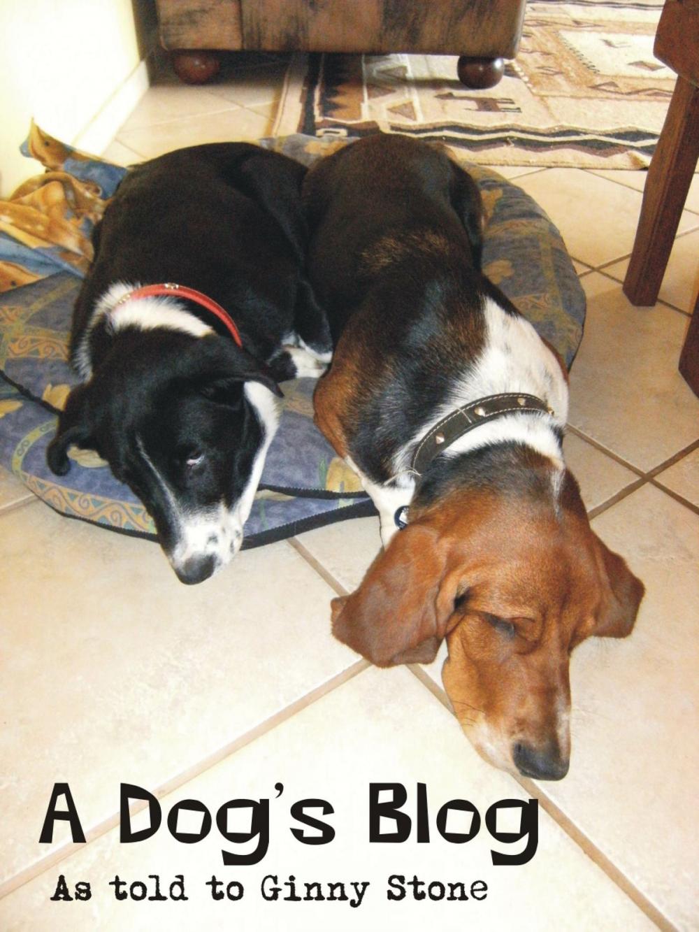 Big bigCover of A Dog's Blog