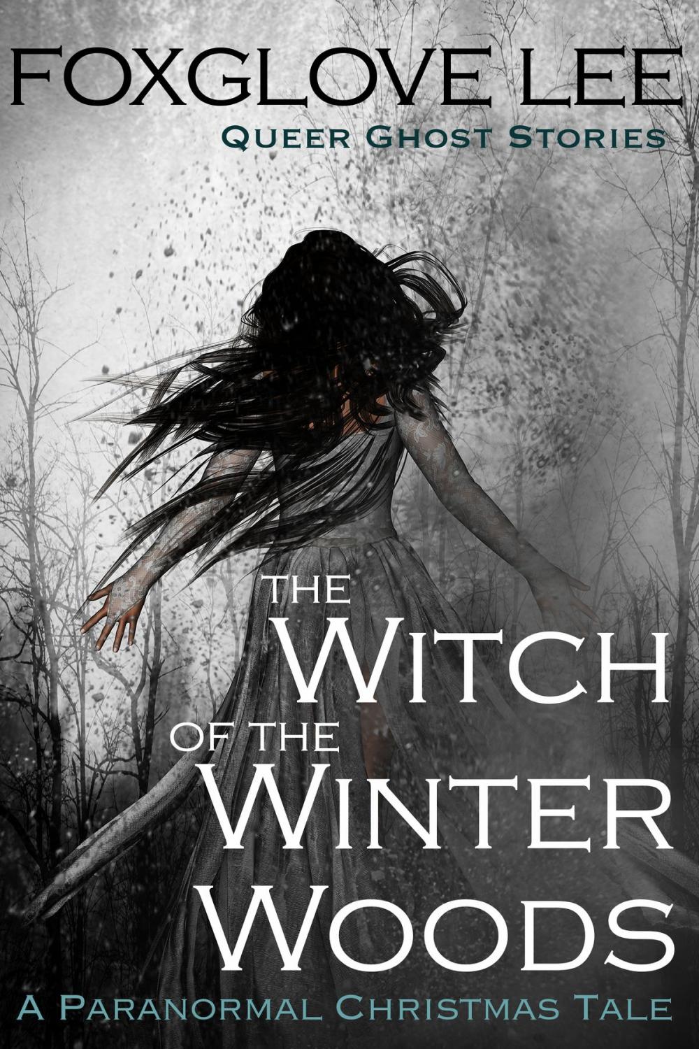 Big bigCover of The Witch of the Winter Woods: A Paranormal Christmas Tale
