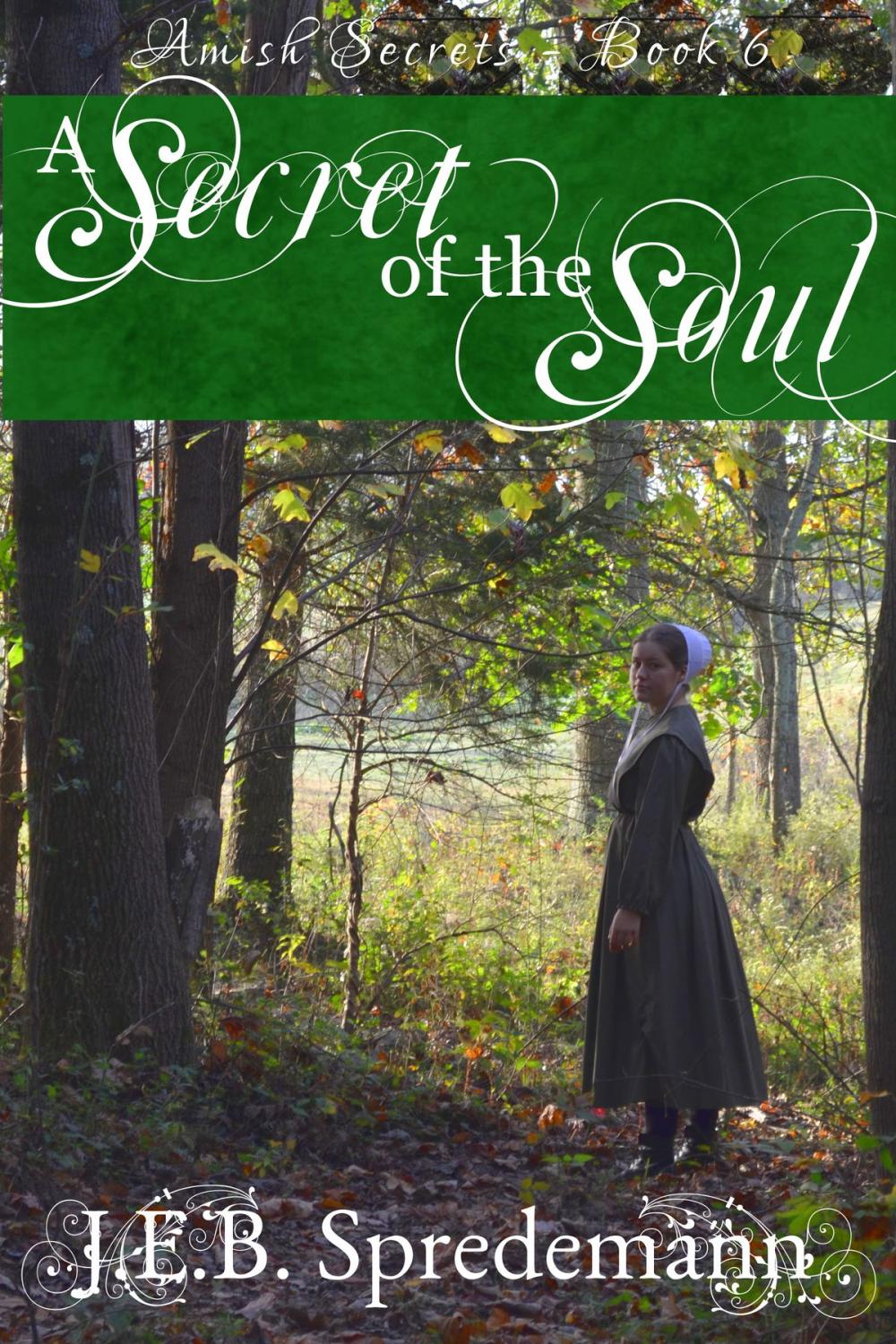 Big bigCover of A Secret of the Soul (Amish Secrets - Book 6)