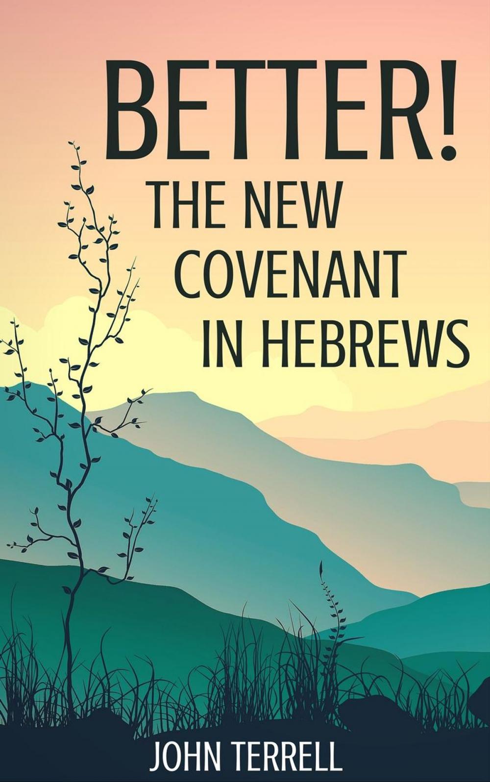 Big bigCover of Better! The New Covenant in Hebrews