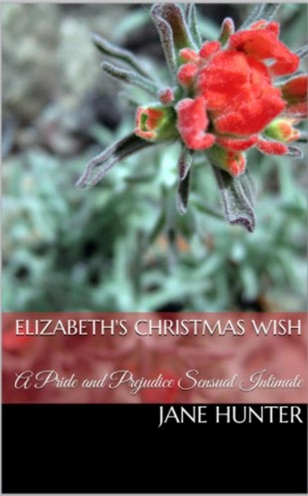 Big bigCover of Elizabeth's Christmas Wish: A Pride and Prejudice Sensual Intimate