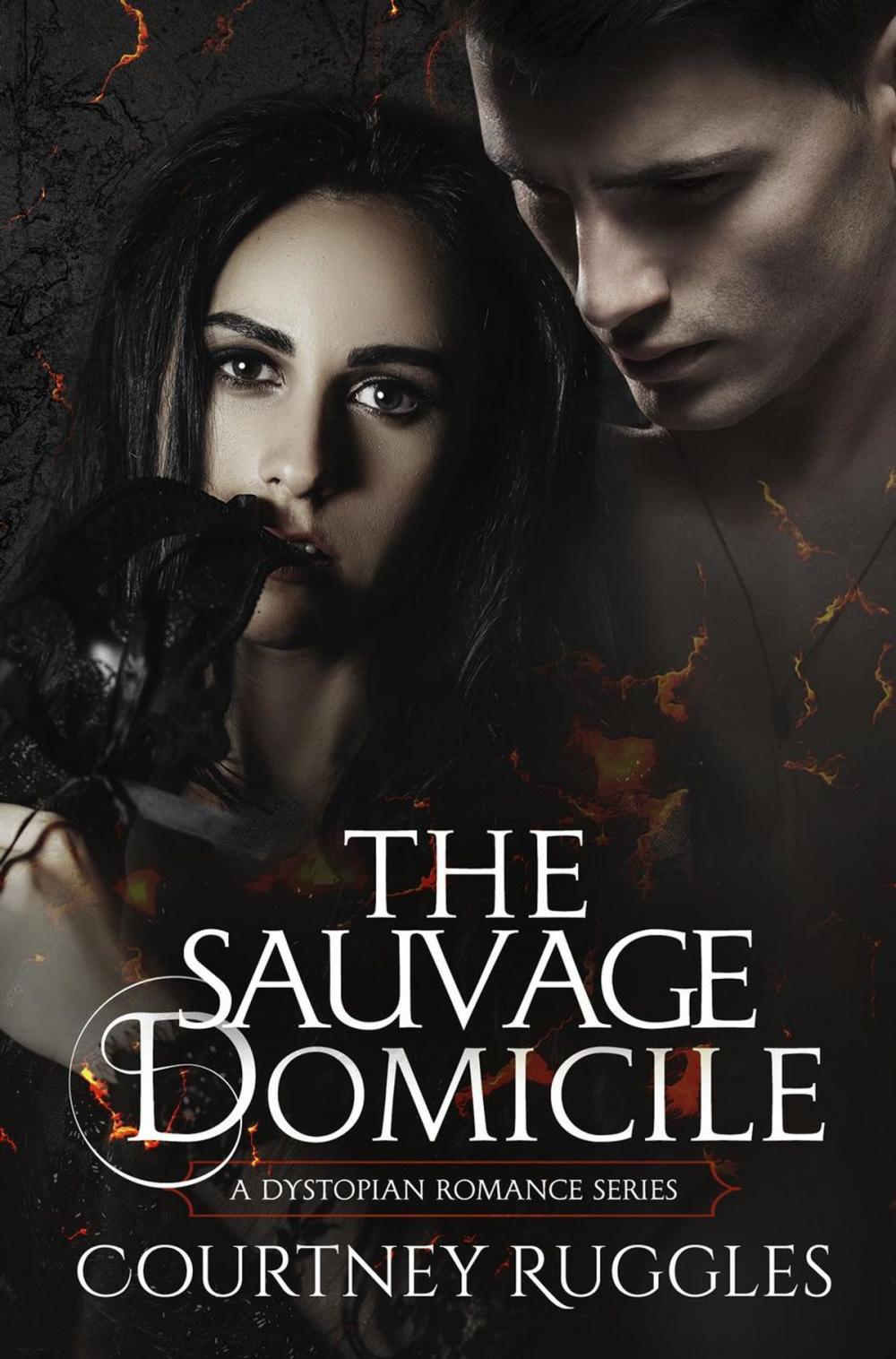 Big bigCover of The Sauvage Domicile