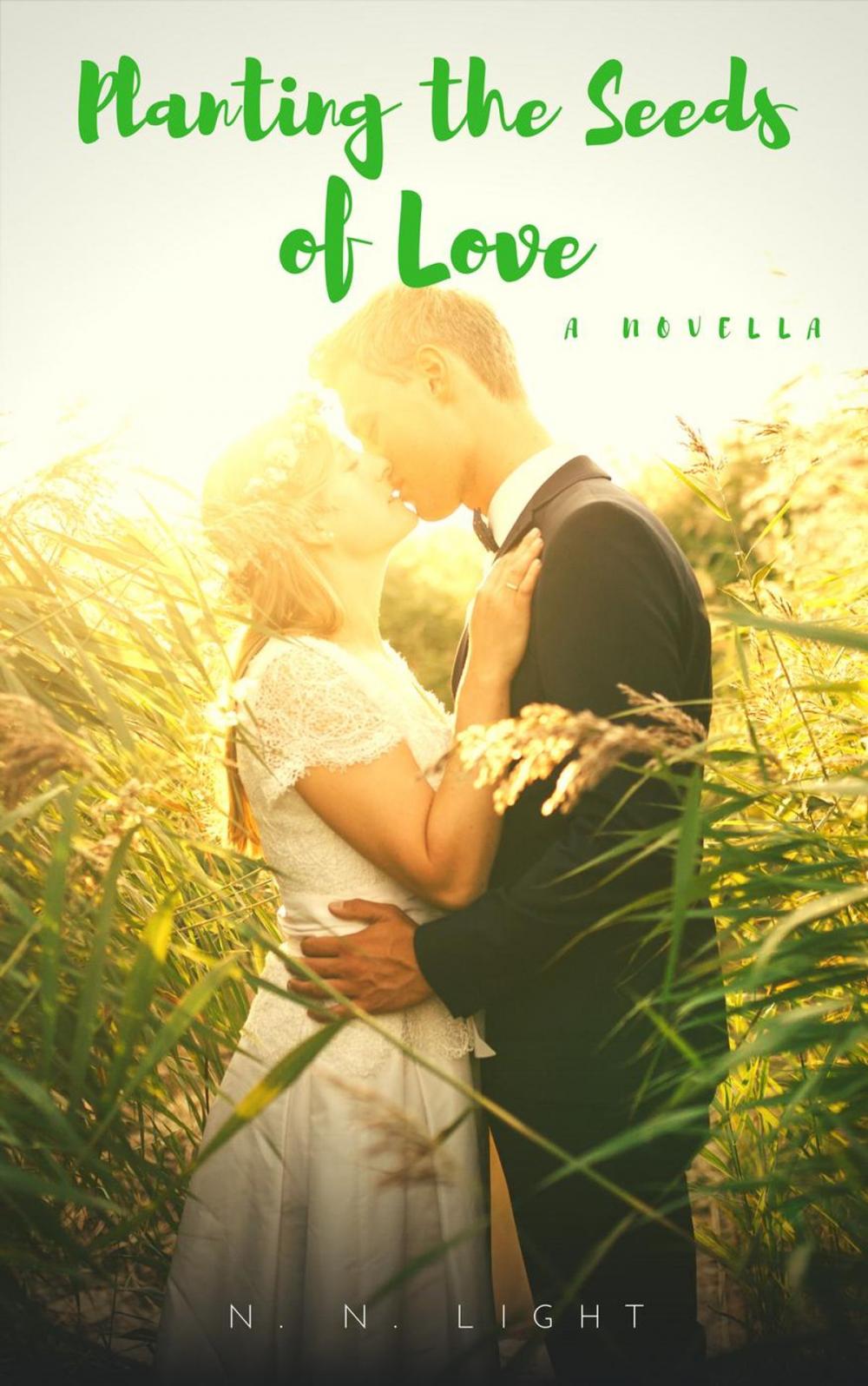 Big bigCover of Planting the Seeds of Love: A Novella