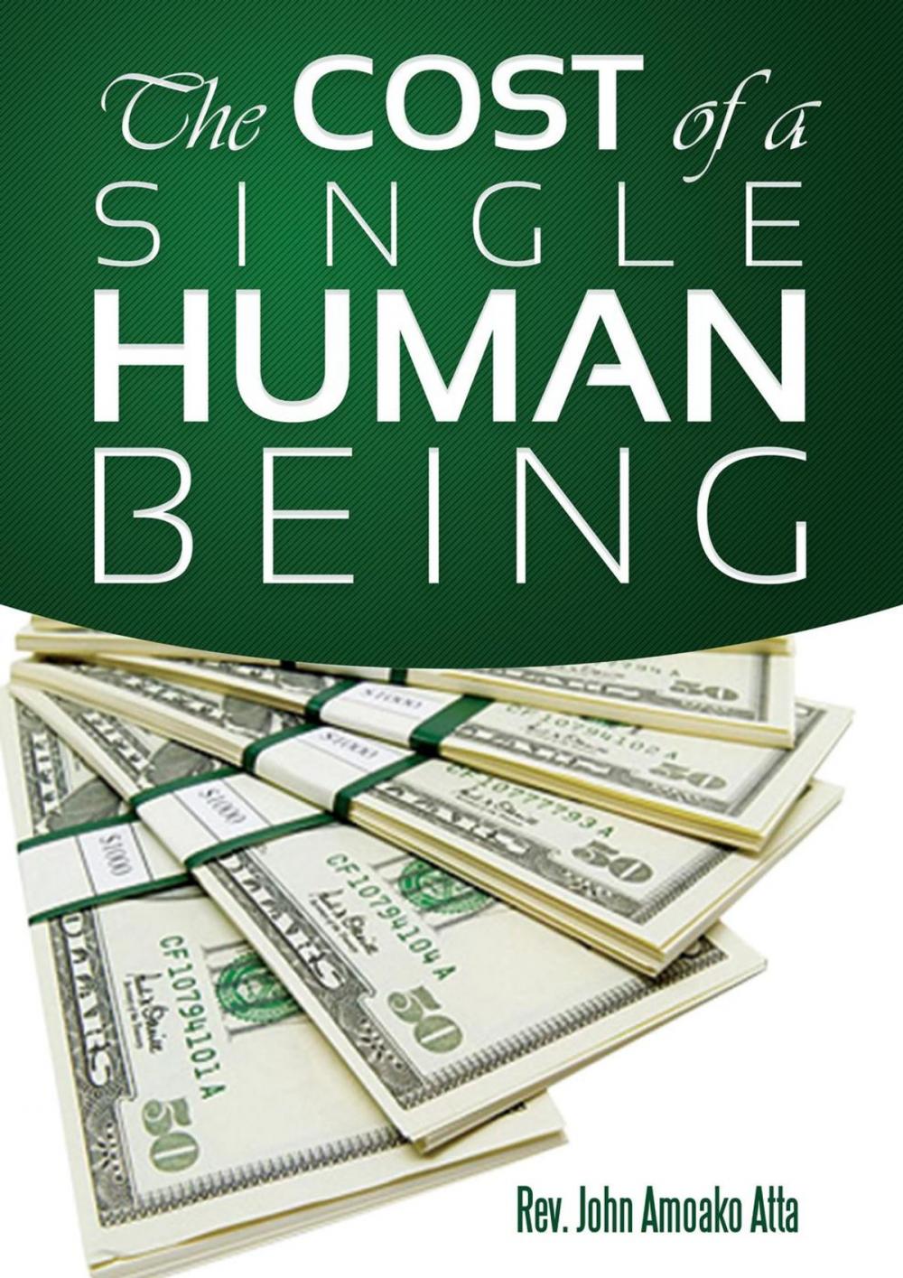 Big bigCover of The Cost Of A Single Human Being
