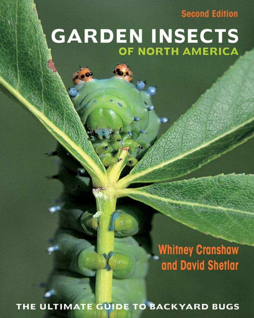 Big bigCover of Garden Insects of North America