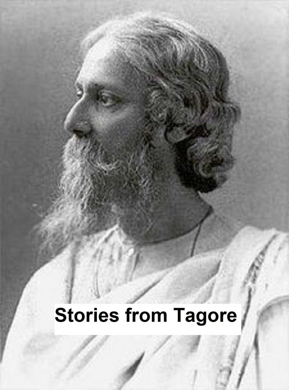 Big bigCover of Stories from Tagore