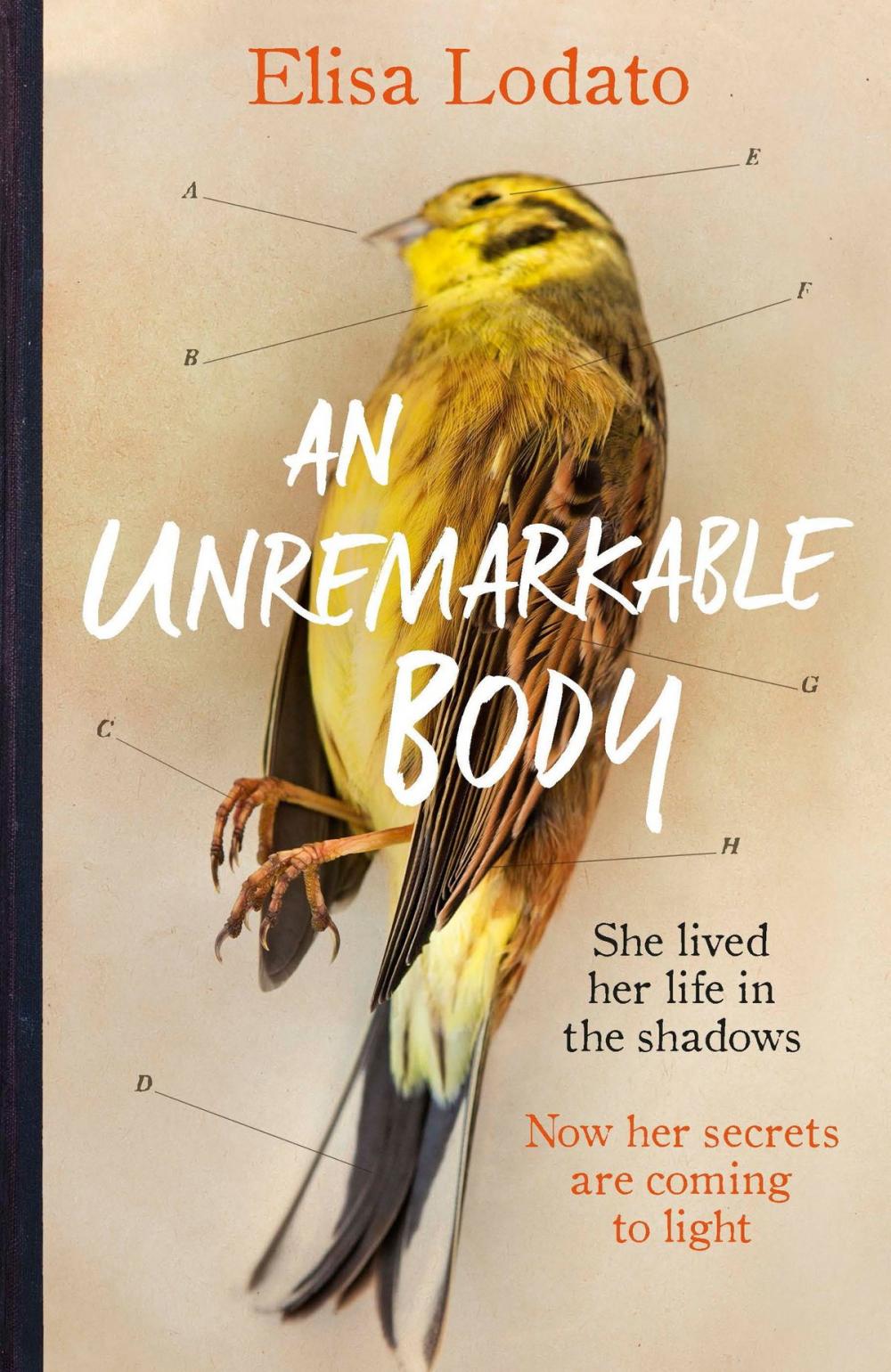 Big bigCover of An Unremarkable Body
