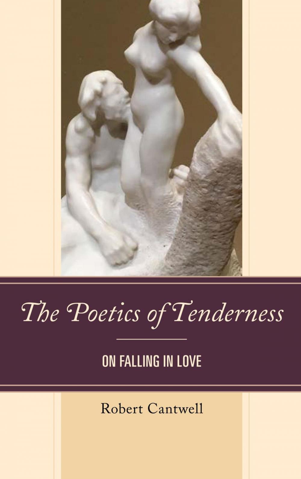 Big bigCover of The Poetics of Tenderness