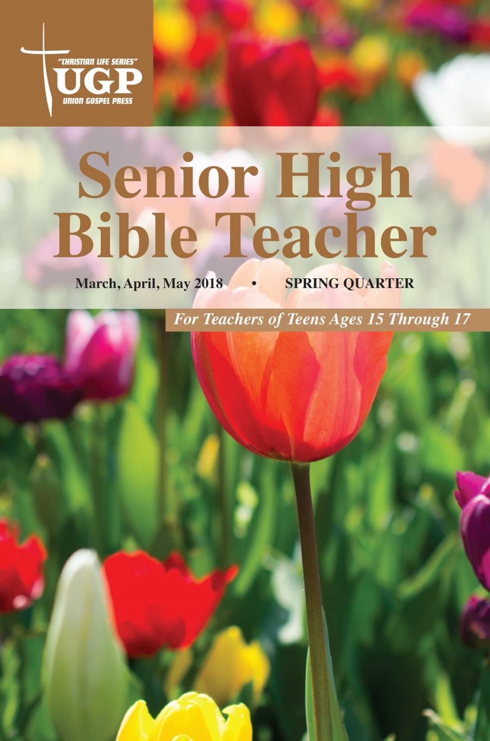 Big bigCover of Senior High Bible Teacher