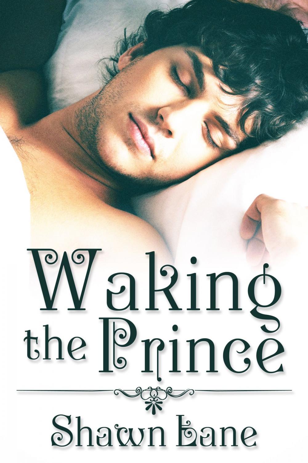 Big bigCover of Waking the Prince