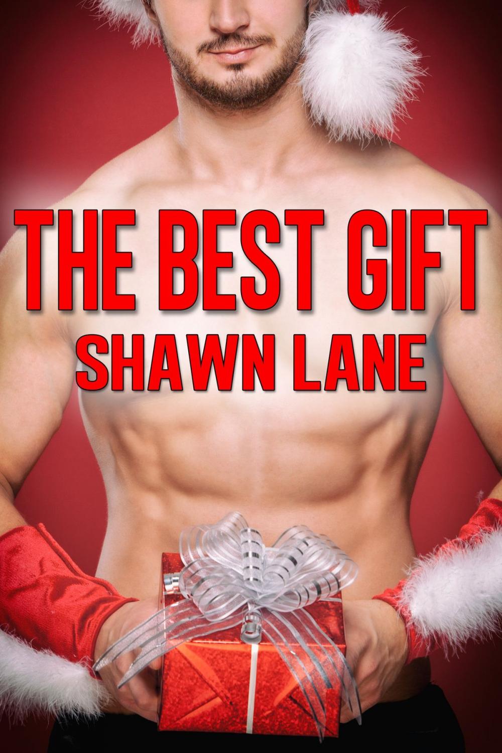 Big bigCover of The Best Gift