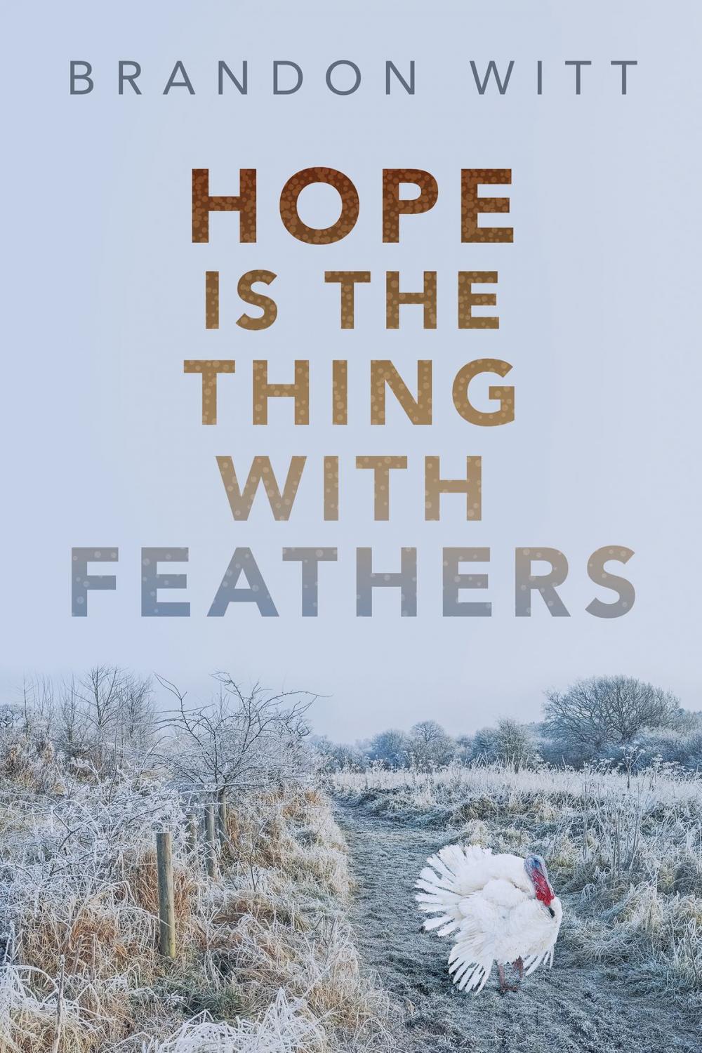 Big bigCover of Hope Is the Thing with Feathers