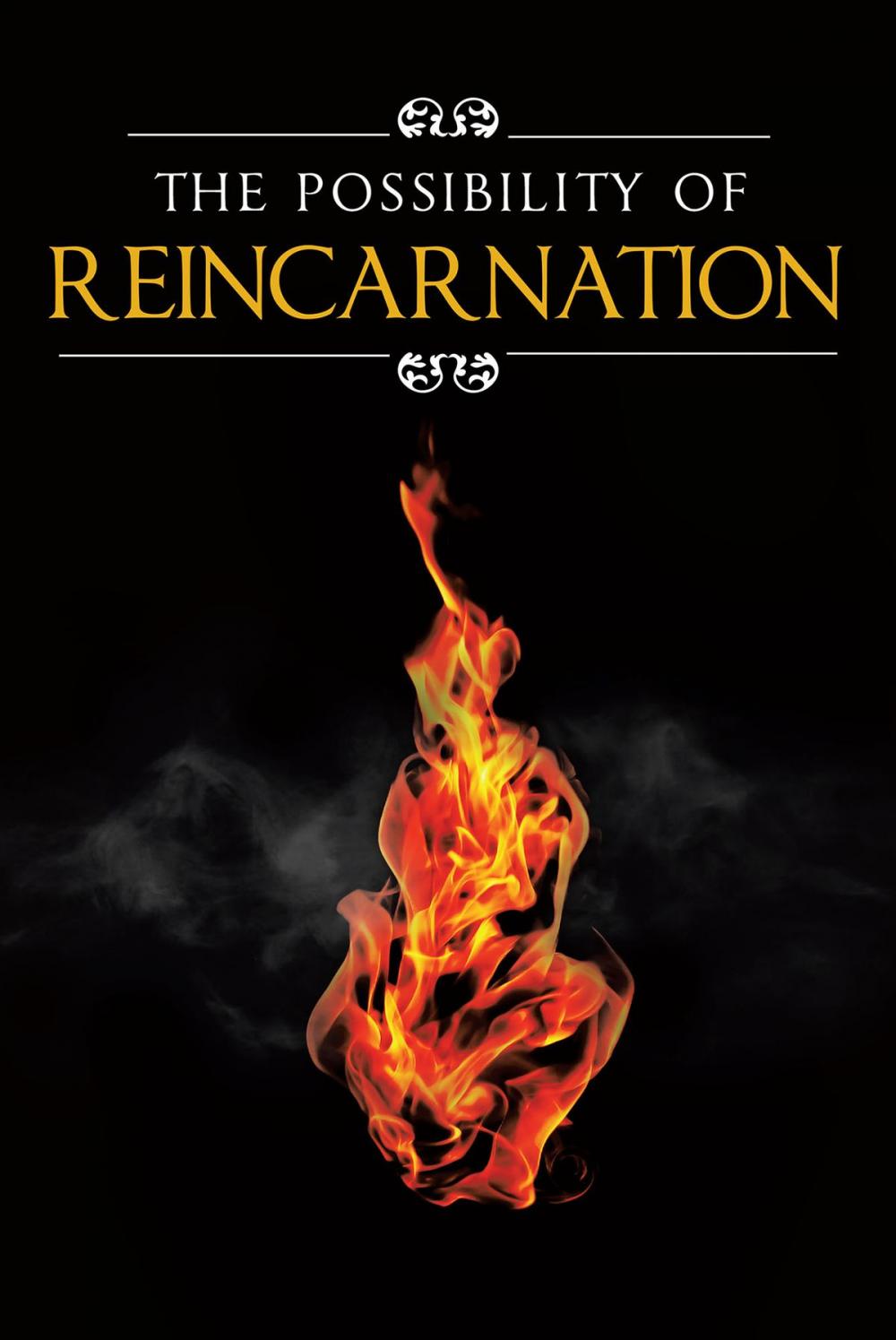 Big bigCover of The Possibility Of Reincarnation