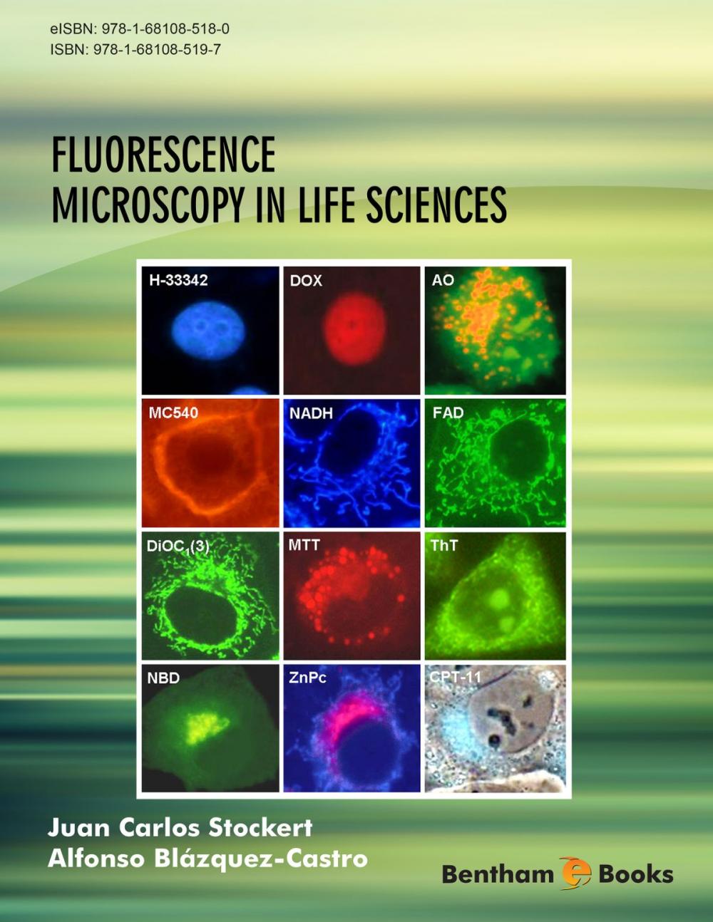 Big bigCover of Fluorescence Microscopy In Life Sciences
