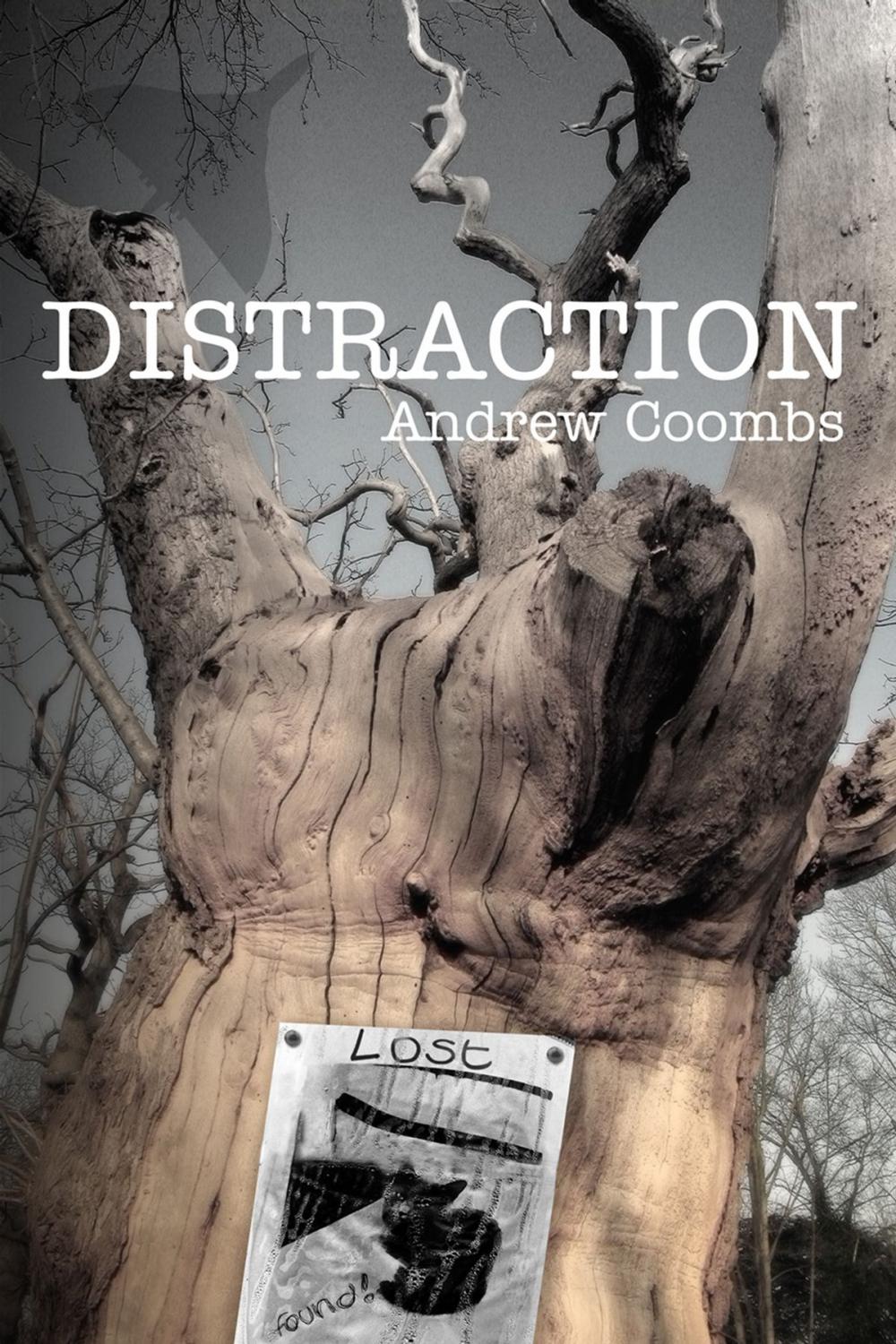 Big bigCover of Distraction