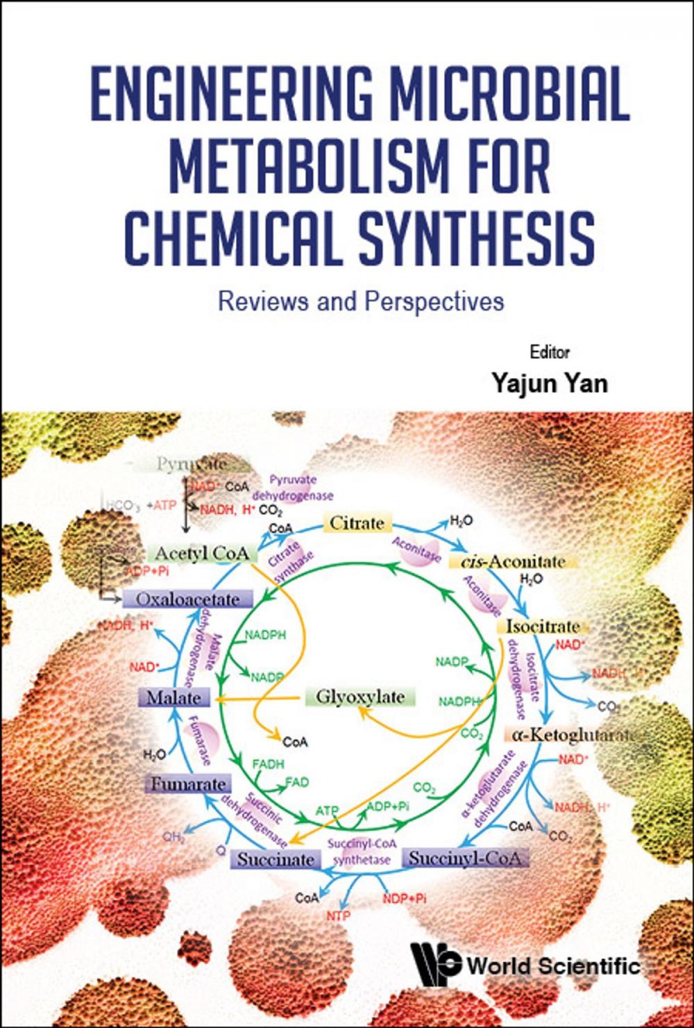 Big bigCover of Engineering Microbial Metabolism for Chemical Synthesis