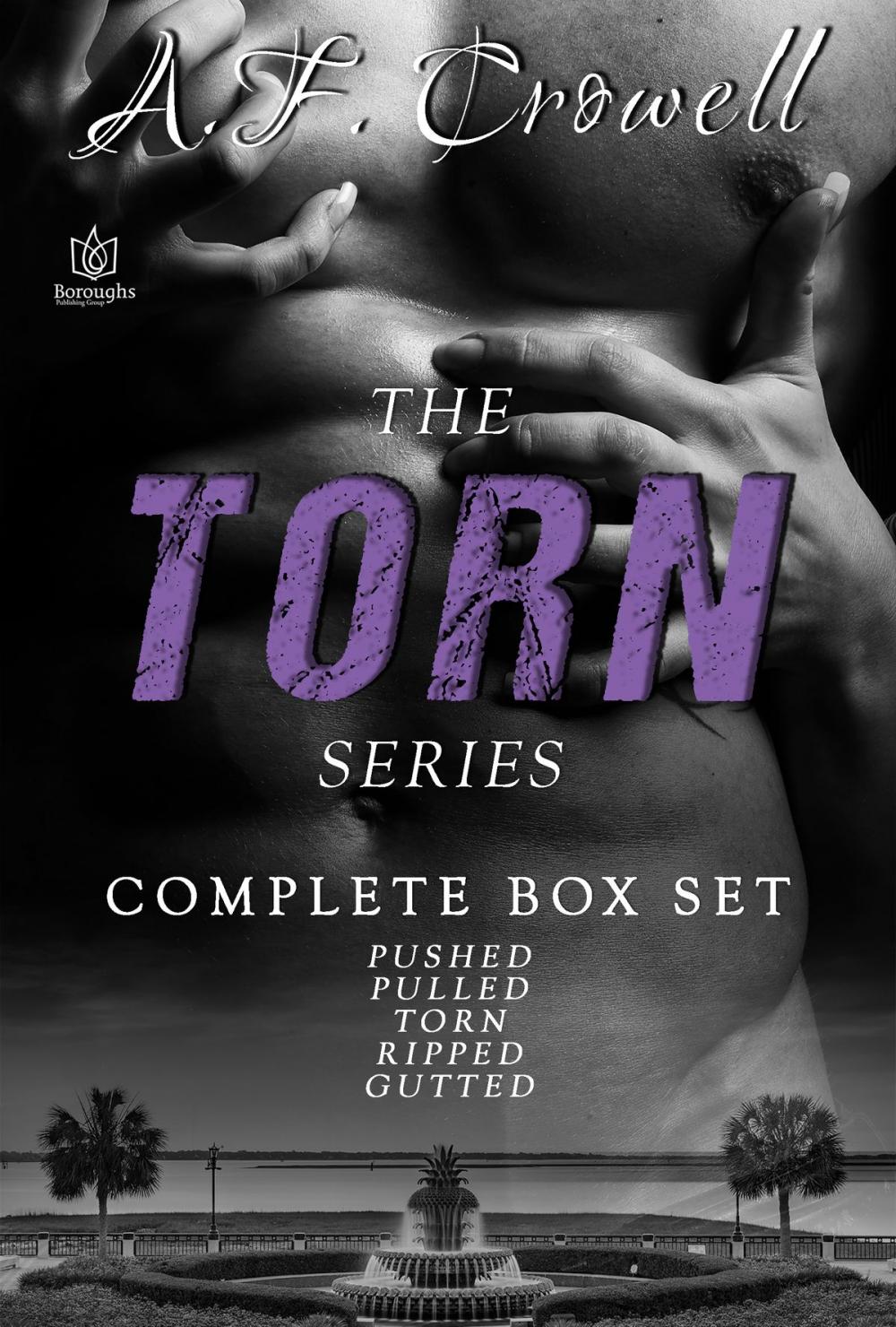 Big bigCover of The Torn Series