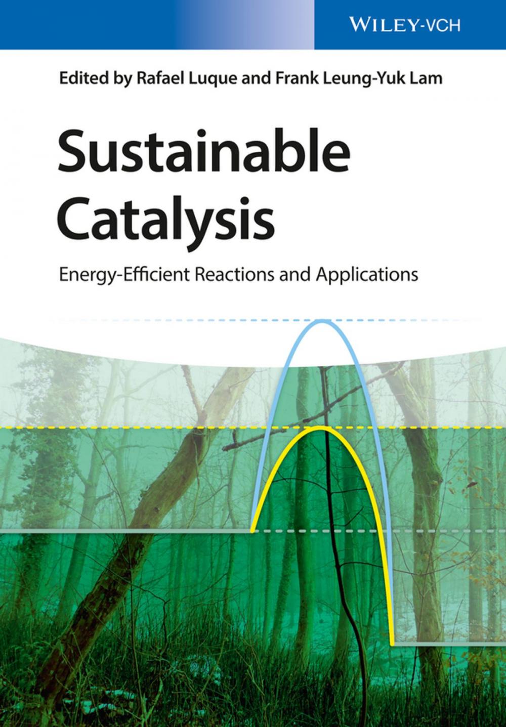 Big bigCover of Sustainable Catalysis