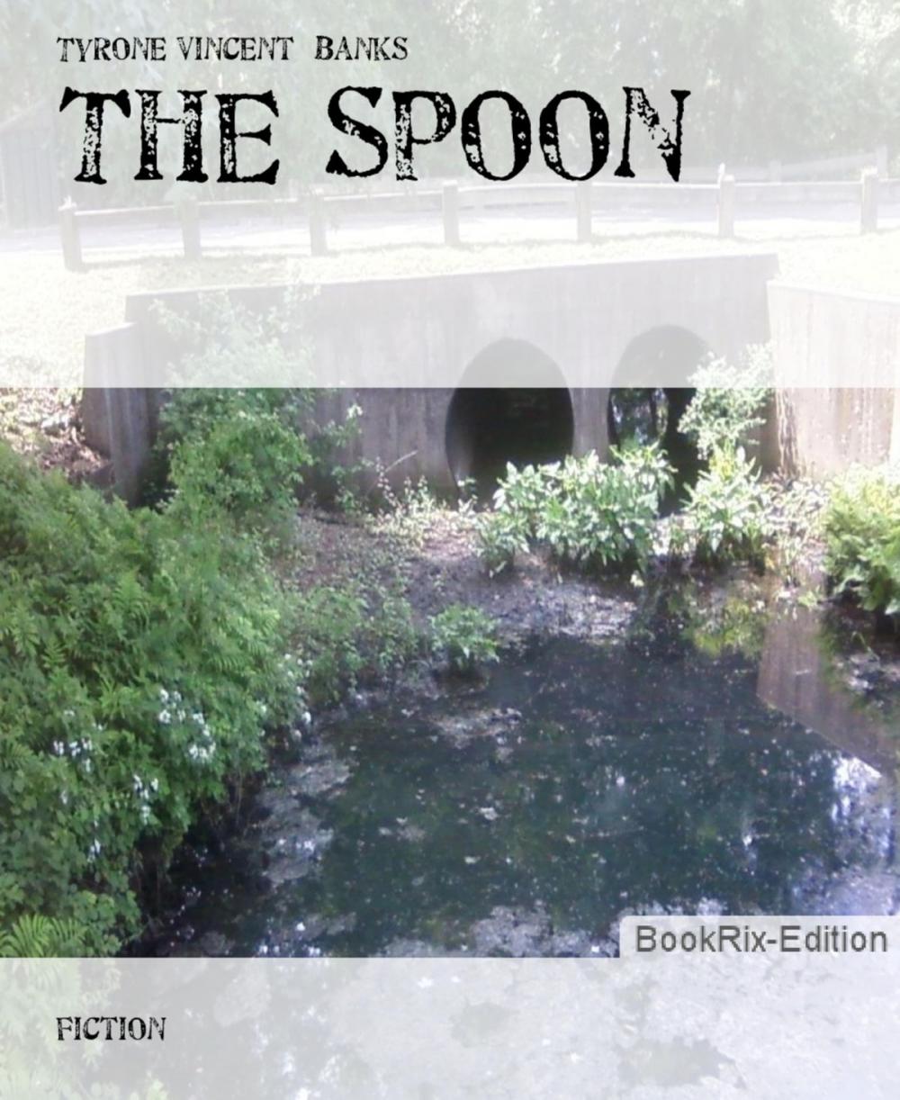 Big bigCover of The Spoon
