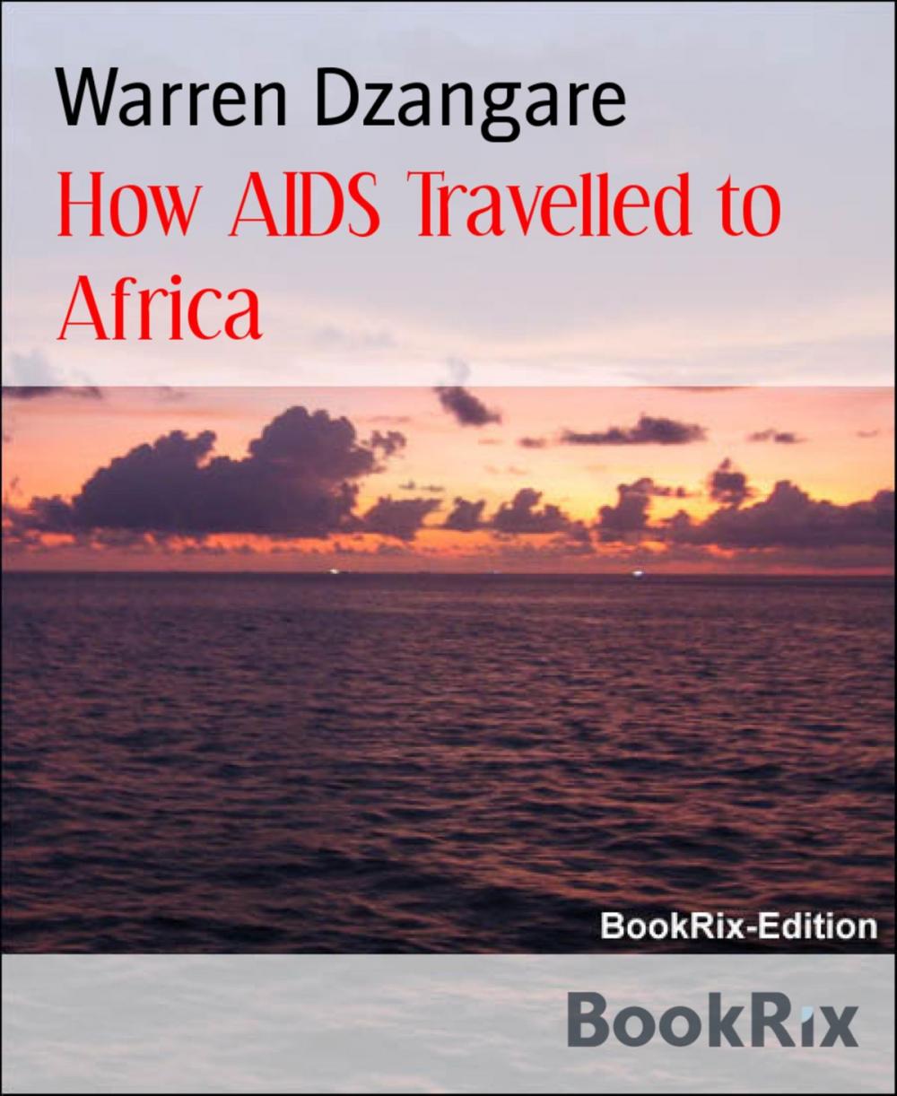 Big bigCover of How AIDS Travelled to Africa