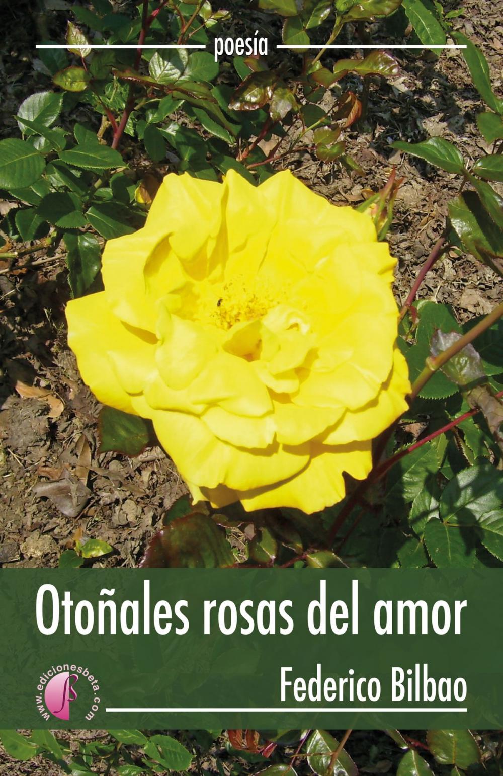 Big bigCover of Otoñales rosas del amor