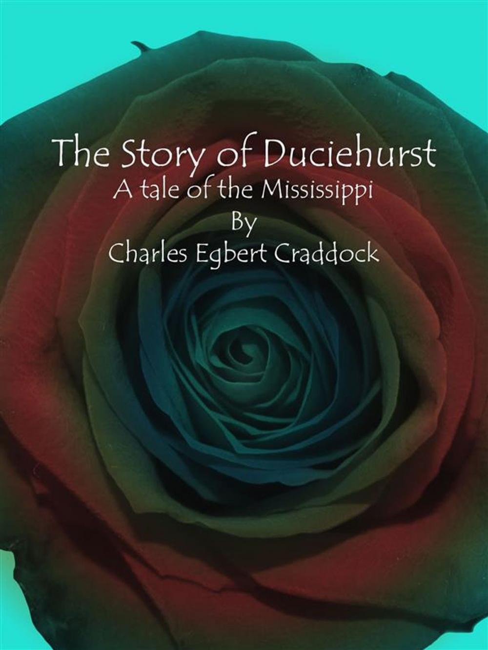 Big bigCover of The Story of Duciehurst