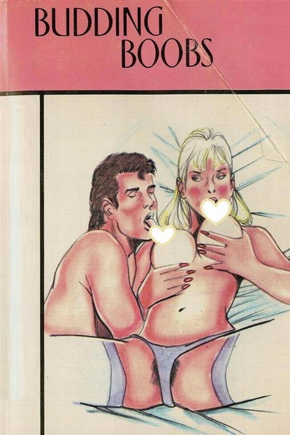 Big bigCover of Budding Boobs - Erotic Novel
