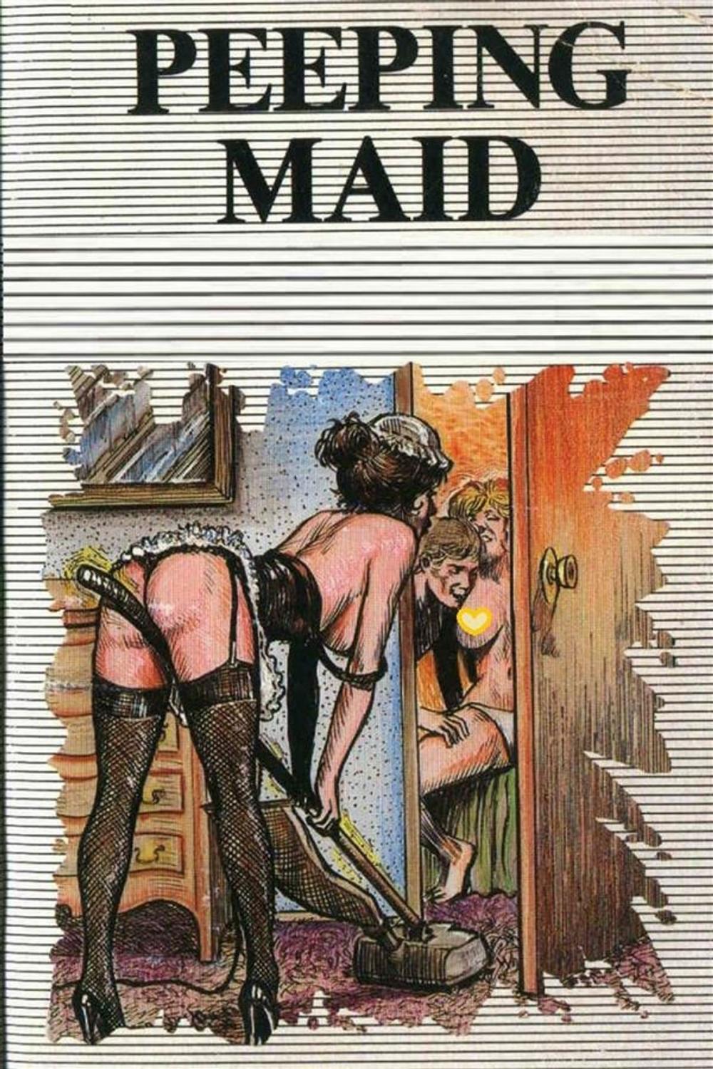 Big bigCover of Peeping Maid - Erotic Novel