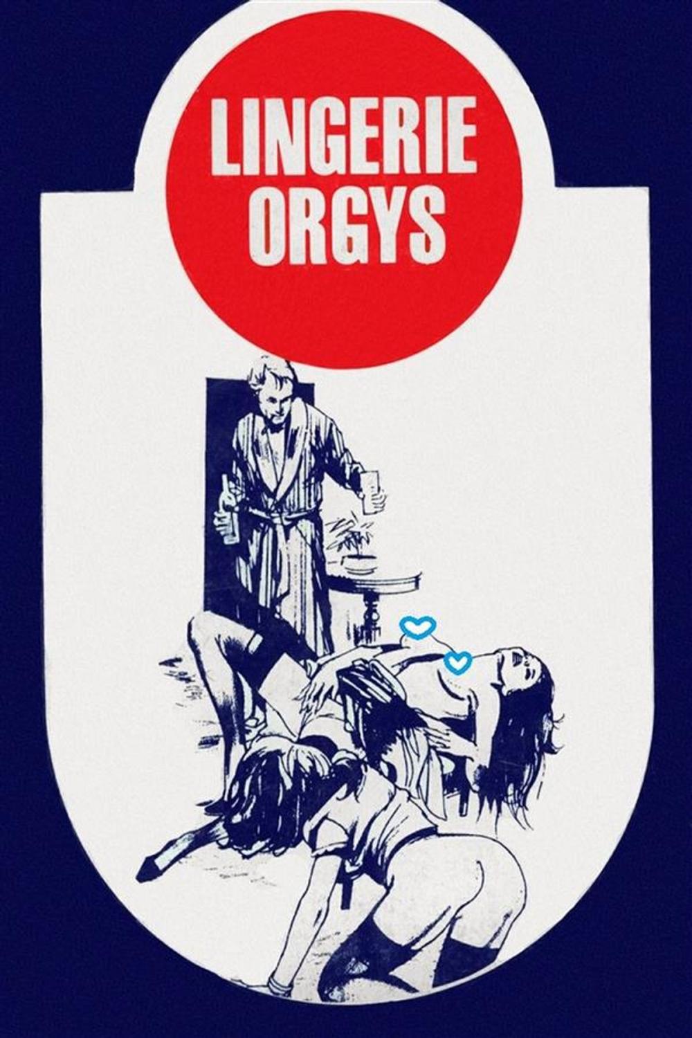 Big bigCover of Lingerie Orgys - Erotic Novel