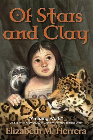 Cover of the book Of Stars and Clay by Shawn Speakman