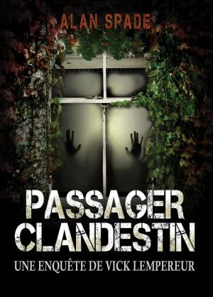Cover of the book Passager clandestin by Sébastien Brégeon
