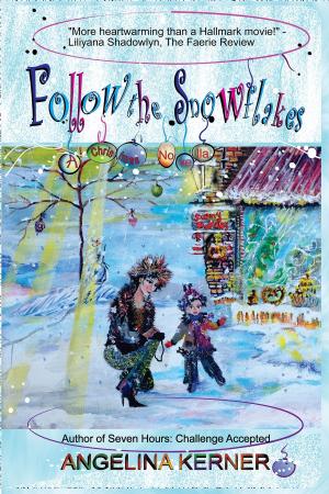Book cover of Follow the Snowflakes