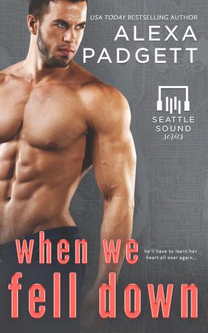 Book cover of When We Fell Down