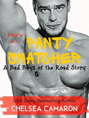 Cover of the book Panty Snatcher by L.B.Molina