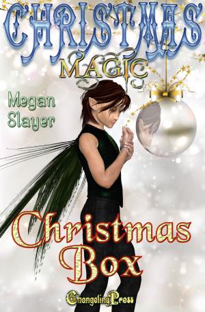 Cover of the book Christmas Box by Megan Slayer