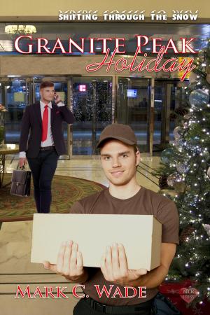 Cover of the book Granite Peak Holiday by Haley Whitehall
