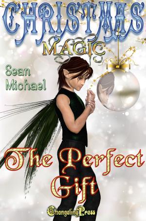 Cover of the book The Perfect Gift by VR Thode