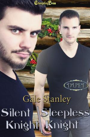 Cover of the book Silent Knight, Sleepless Knight by Anne Kane