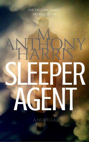 Cover of the book Sleeper Agent by L.E. Thomas