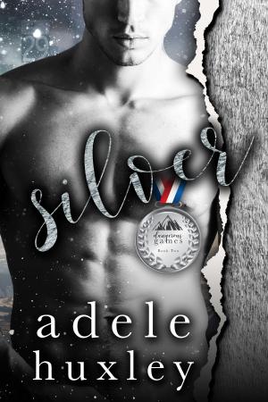 Cover of the book Silver by Kristin Gleeson