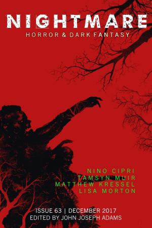 Cover of the book Nightmare Magazine, Issue 63 (December 2017) by John Joseph Adams, Joanna Parypinski, Halli Villegas, John Langan, Micah Dean Hicks, Amber Fallon