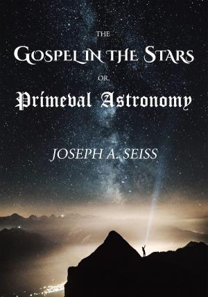 Cover of the book The Gospel in the Stars, or, Prímeval Astronomy by Walter Rauschenbusch