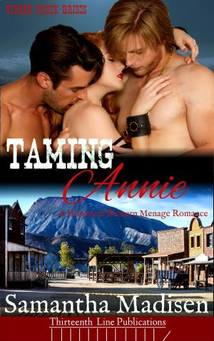 Cover of the book Taming Annie by John Hickman