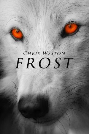 Cover of the book Frost by Brenton Barwick