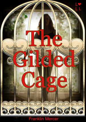 Cover of the book The Gilded Cage by Nolan Noire