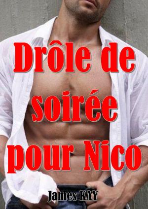Cover of the book Drôle de soirée by Kyell Gold, Rukis