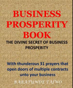 Cover of BUSINESS PROSPERITY BOOK