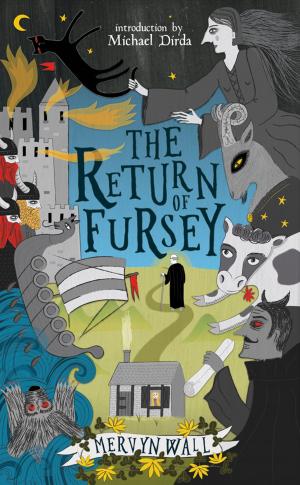 Cover of the book The Return of Fursey by Stephen Gregory
