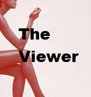 bigCover of the book The Viewer by 