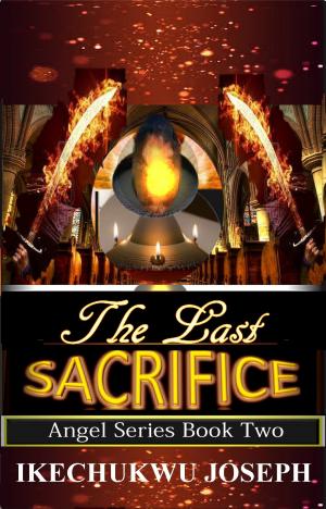 Cover of the book The Last Sacrifice by Paul Comstock